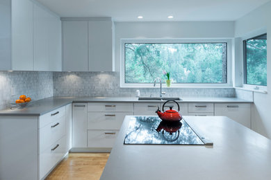 This is an example of a kitchen in Vancouver.