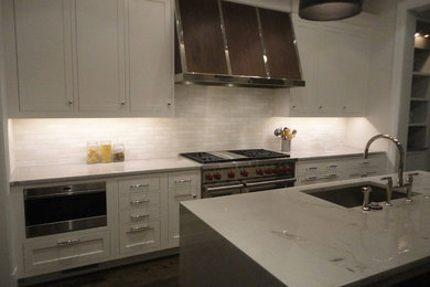 シカゴにある中くらいなトランジショナルスタイルのおしゃれなキッチン (シングルシンク、シェーカースタイル扉のキャビネット、白いキャビネット、大理石カウンター、白いキッチンパネル、サブウェイタイルのキッチンパネル、シルバーの調理設備) の写真