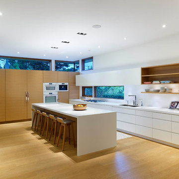 Lawrence Park Ravine House