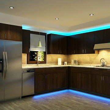 LED Kitchen Cabinet and Toe Kick Lighting