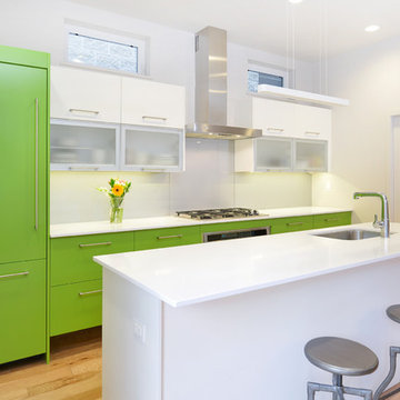 LEED Platinum Prefab Home In West Town
