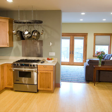 Levine Residence
