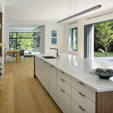 Lexington Modern Home