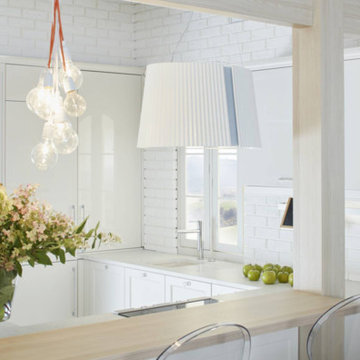 White Kitchen Collection By Darash