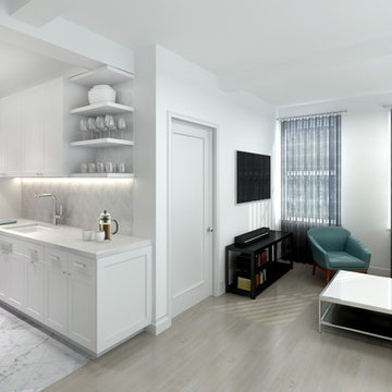 Lincoln Sq. Residence - Conversion of 1BR to 2BR & Kitchen Remodel