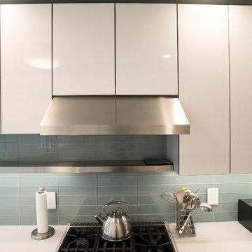 Lisa Project - Kitchen Remodeling in Washington, DC