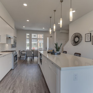 Open concept kitchen photos - Open concept kitchen - single-wall light wood floor and gray floor open concept kitchen idea in San Francisco with flat-panel cabinets, white cabinets, white backsplash, stainless steel appliances and an island