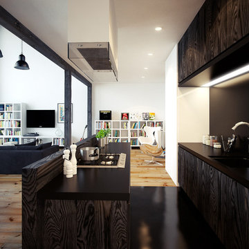 Loft apartment design, Krakow