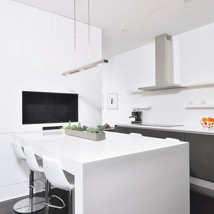 Mid-sized modern eat-in kitchen ideas - Mid-sized minimalist single-wall dark wood floor eat-in kitchen photo in DC Metro with an undermount sink, flat-panel cabinets, black cabinets, stainless steel appliances and solid surface countertops