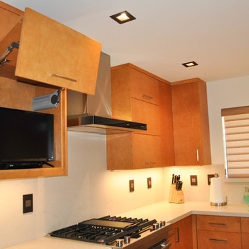 Loma Verde Contemporary Kitchen