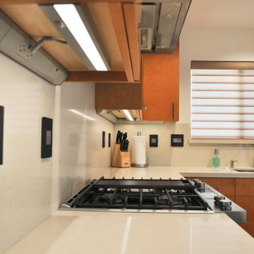 Loma Verde Contemporary Kitchen