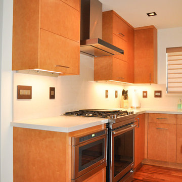 Loma Verde Contemporary Kitchen