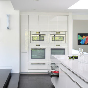Los Altos Hills Uber-Modern Kitchen