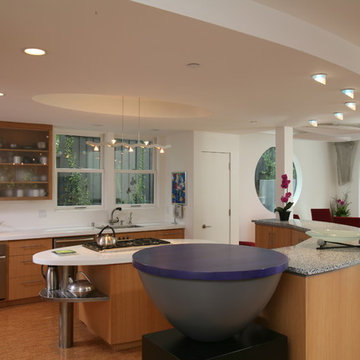 Los Gatos Contemporary Custom Home