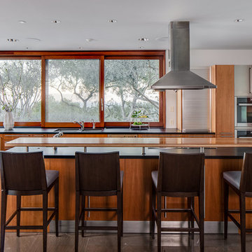 Los Gatos Residence