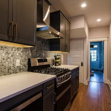 Luxe DC Rowhouse Kitchen