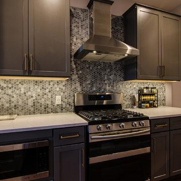 Luxe DC Rowhouse Kitchen