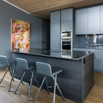 Luxury gray kitchen