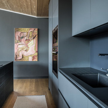 Luxury gray kitchen