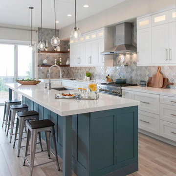 Magnificent Transition Kitchen