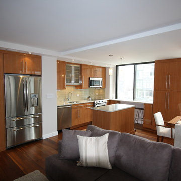 Manhattan NY Modern Kitchen DR LR Combo - High Gloss Veneer - Island - Hi-Rise