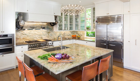 Kitchen of the Week: Elegant Updates for a Serious Cook