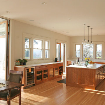 Marin Residence Remodel