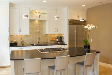 Transitional galley kitchen photo in Chicago with an island, an undermount sink and white cabinets