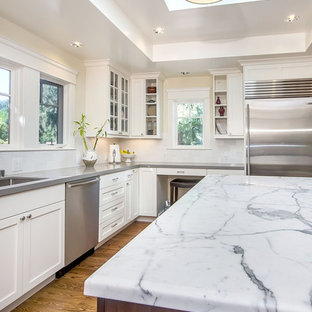 Kitchen - transitional kitchen idea in San Francisco with shaker cabinets and stainless steel appliances