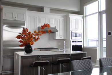 Example of a transitional kitchen design in Other