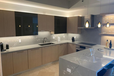 Kitchen - contemporary kitchen idea in Miami