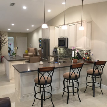 Miami Home Kitchen Remodel