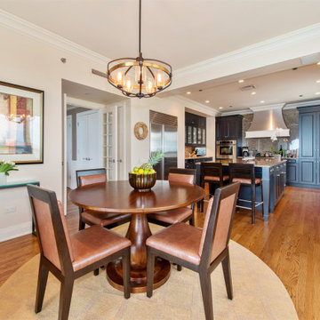 Michigan Avenue Condo - Chicago, Illinois