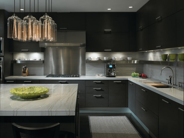 Contemporary Kitchen by Gary Lee Partners