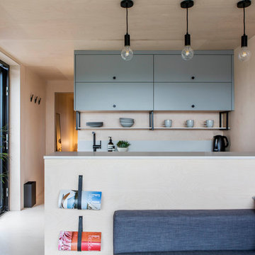 Micro Home Annexe