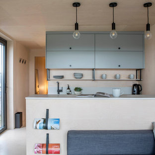 Photo of a scandi kitchen in Oxfordshire.