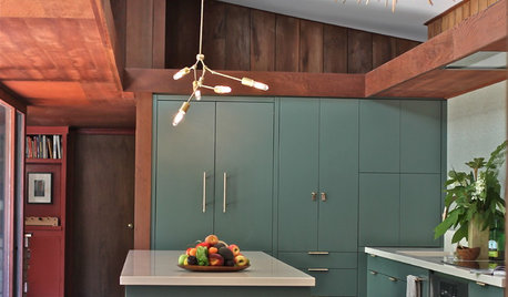 Kitchen of the Week: Modern Update for a Midcentury Gem
