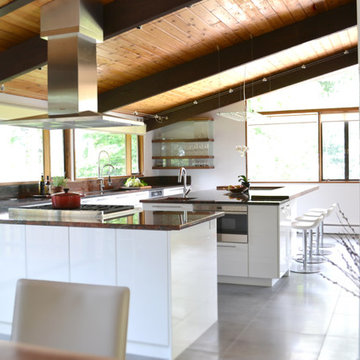 mid century modern deck house kitchen