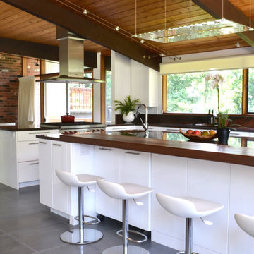 mid century modern deck house kitchen