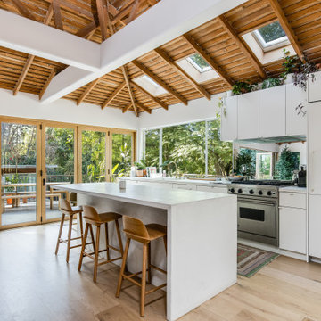 Mid-Century Modern Design with Indoor/Outdoor Living Featuring Folding Doors