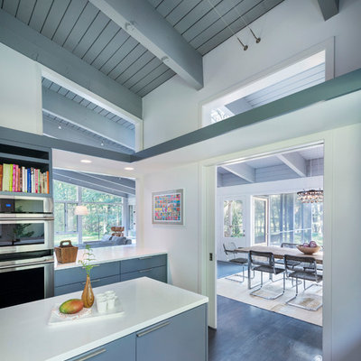 Enclosed kitchen - mid-sized mid-century modern dark wood floor enclosed kitchen idea in Boston with flat-panel cabinets, stainless steel appliances, gray cabinets, an undermount sink and quartz countertops