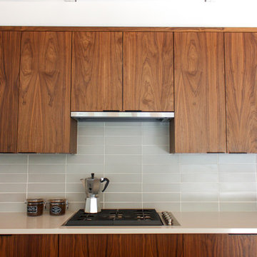 Mid-Century Modern Interior Renovation