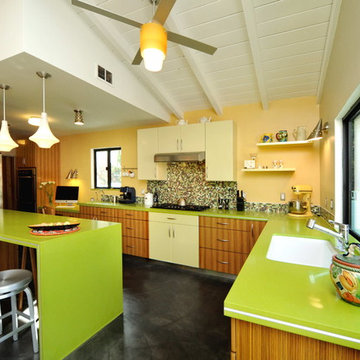 Mid Century Modern Kitchen/Dining