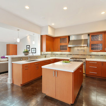 Mid-Century Modern Kitchen