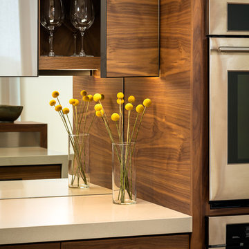Mid Century Modern Kitchen -Mirrored Backsplash and Upper Cabinet