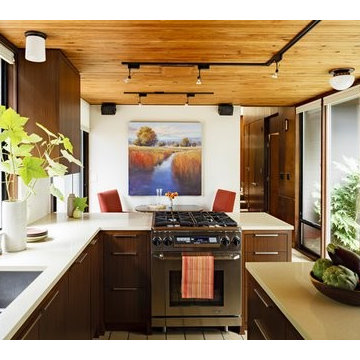 Mid Century Modern Kitchen