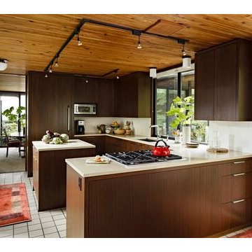 Mid Century Modern Kitchen