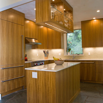 Mid-Century Modern Kitchen Rehab