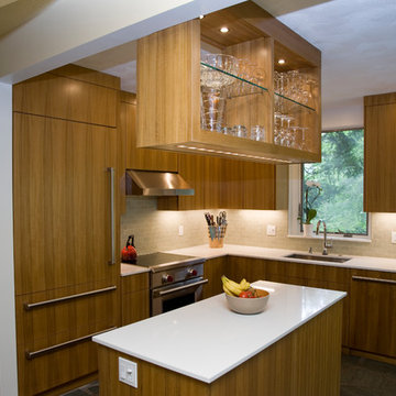 Mid-Century Modern Kitchen Rehab