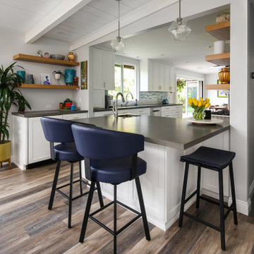 Mid-Century Modern Kitchen Remodel and Bathroom